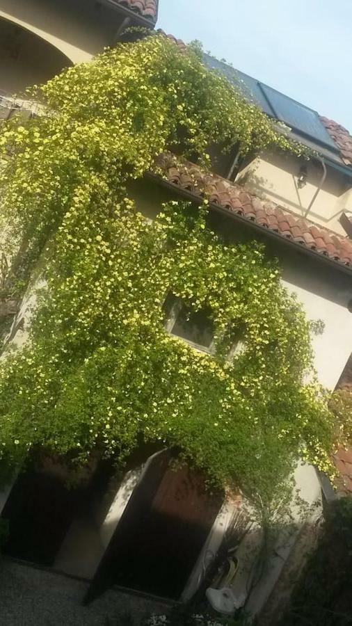 Lunesco Alloggio Divino, Chambre D'Amis Lu (Piedmont) Kültér fotó